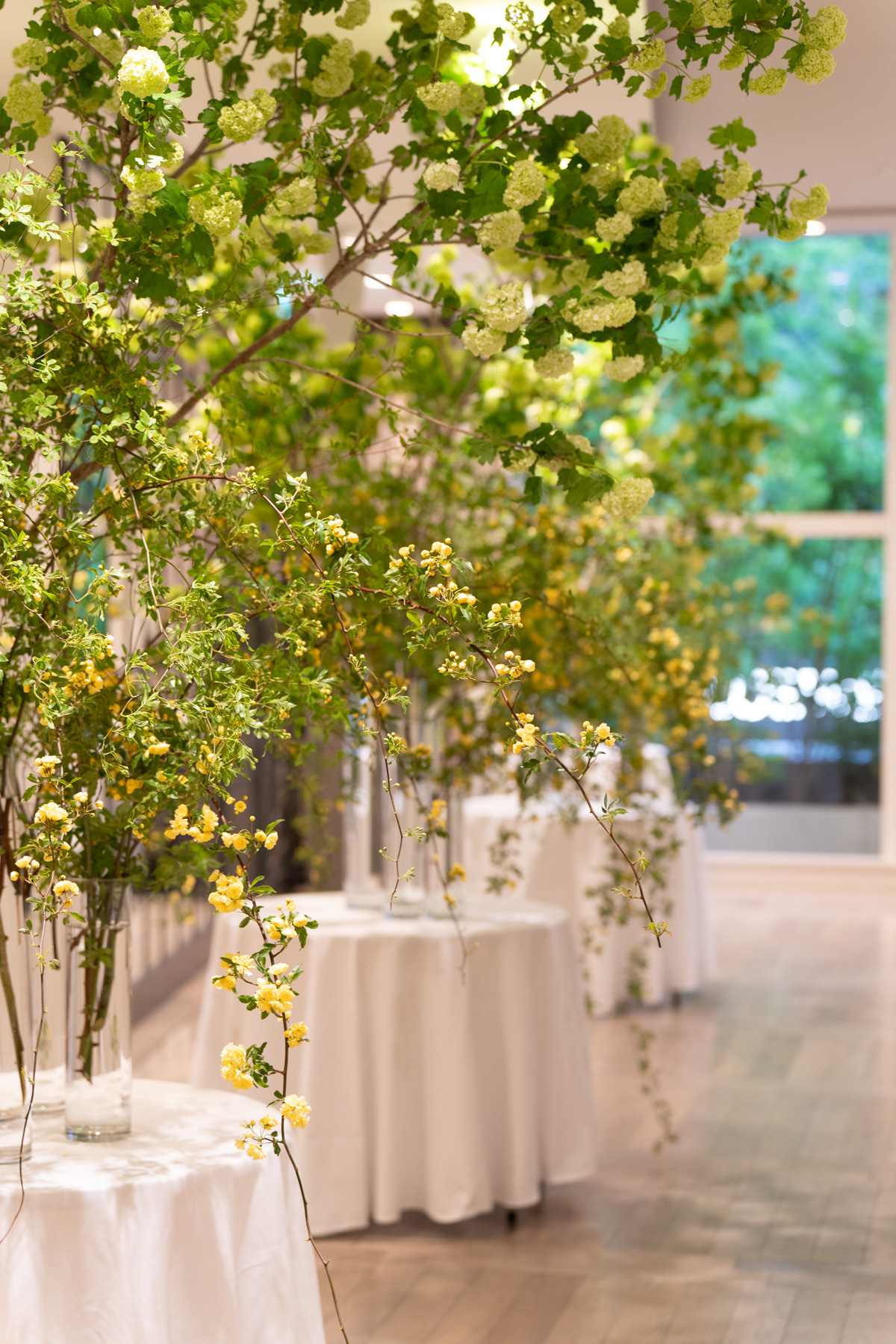 I'llony 空間装花